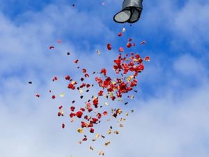 Drone Flower Release System/ Flowers From Heaven/ Flower Dropper