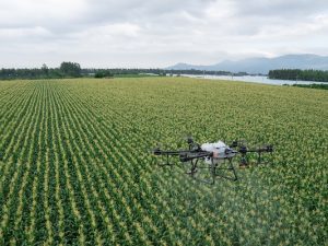 AGRICULTURE BASIC TRAINING